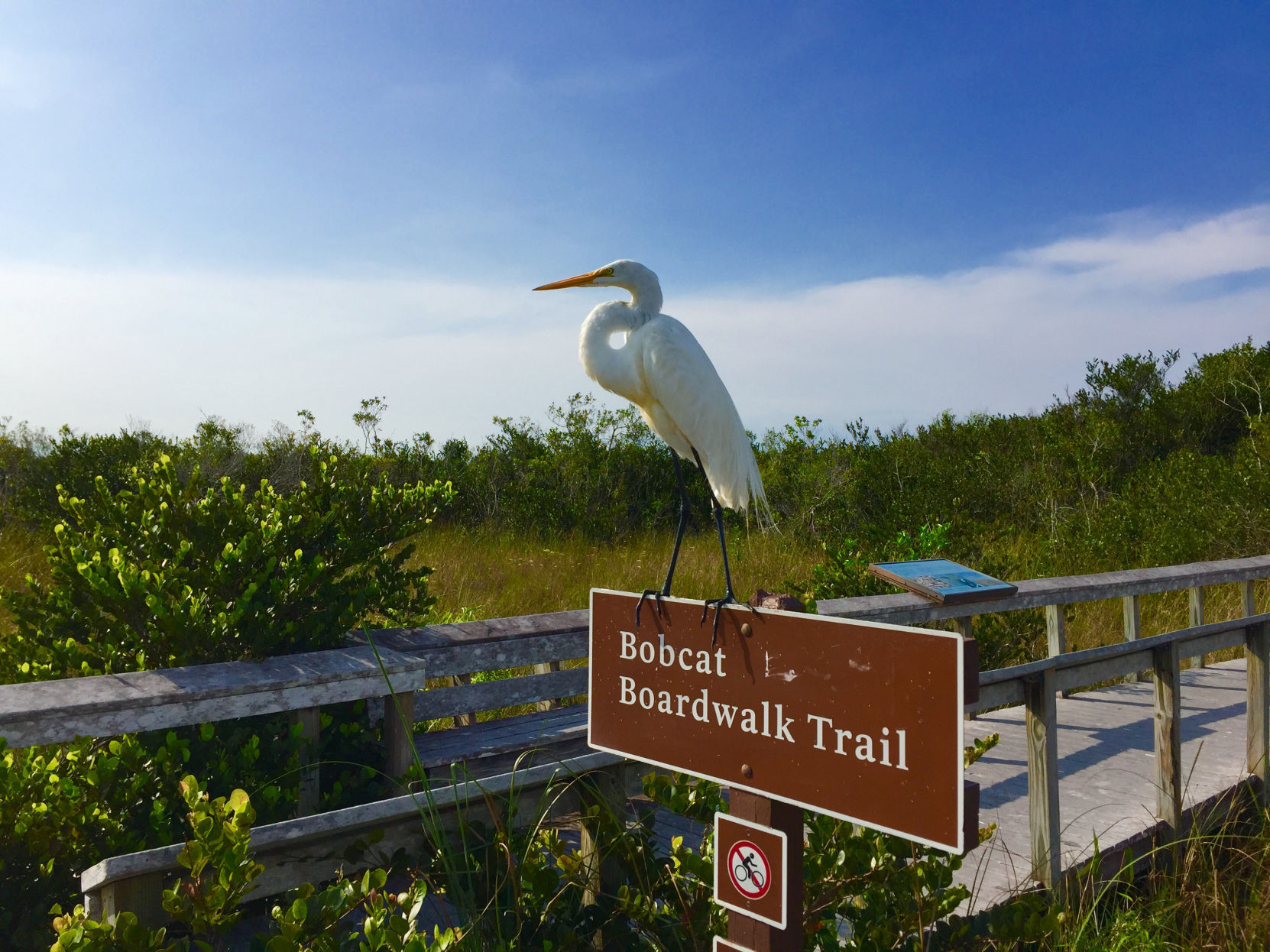 Everglades National Park